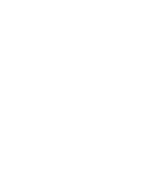 LVL Group
